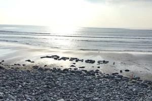 Arthog Beach 1