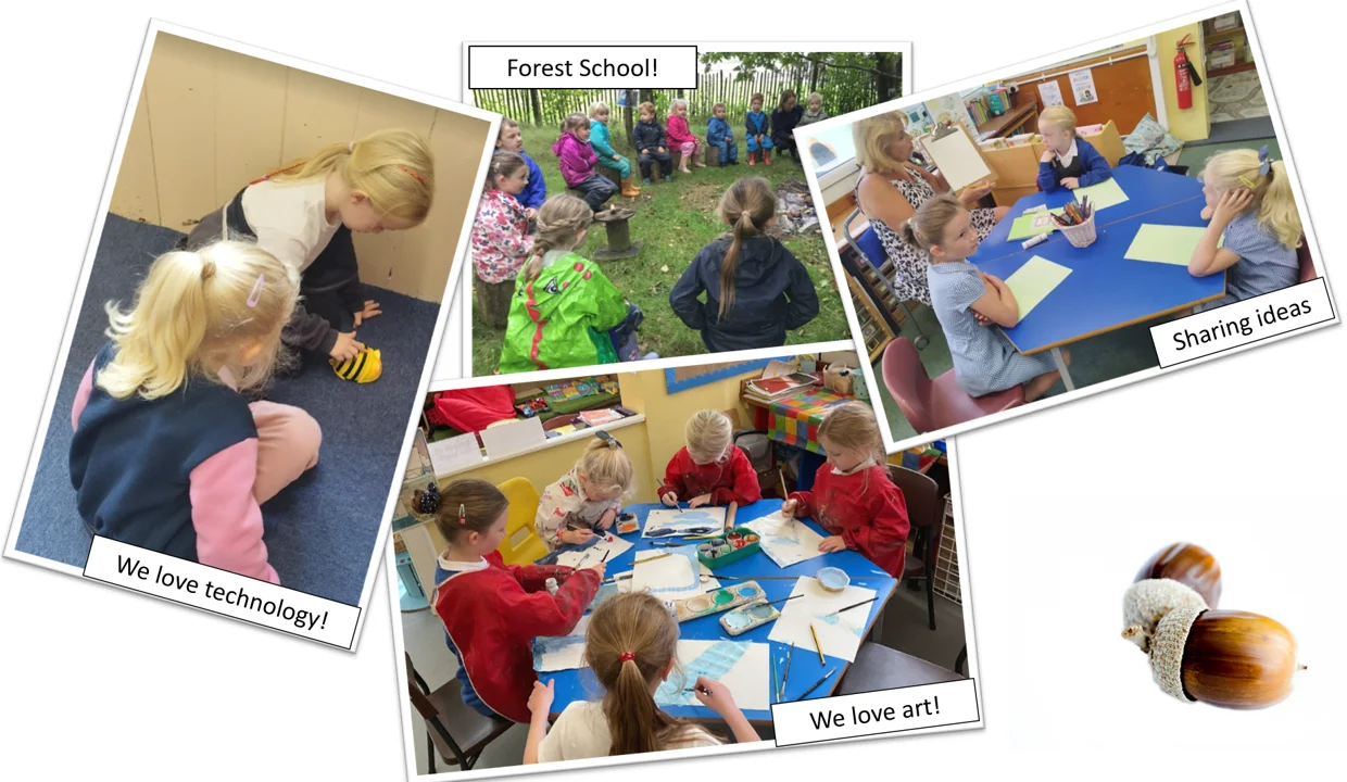 Website Acorn Class